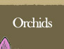 Orchids